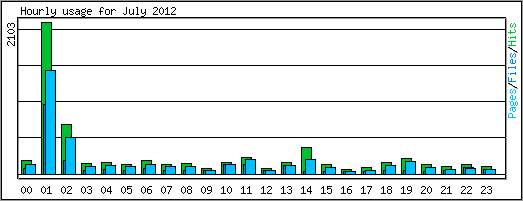 Hourly usage