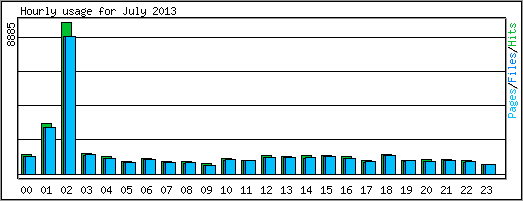 Hourly usage