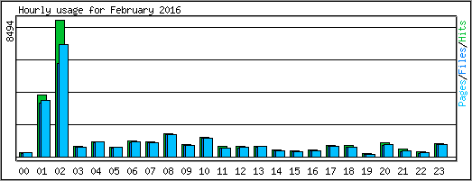 Hourly usage