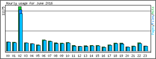 Hourly usage