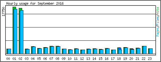 Hourly usage