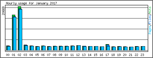 Hourly usage