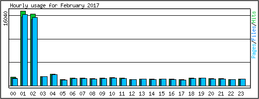 Hourly usage